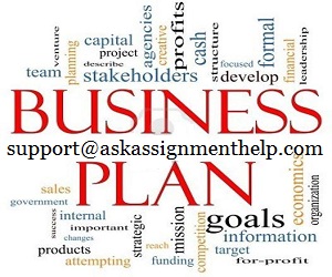 Help doing business plan