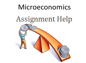 Microeconomics assignment help