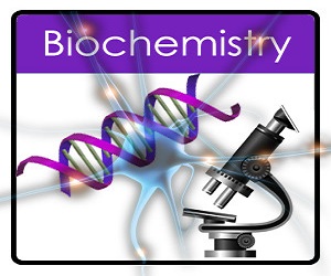 Biochemistry Assignment Help