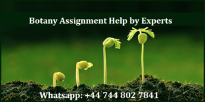 botany assignment help