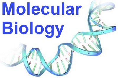 molecular biology assignment help