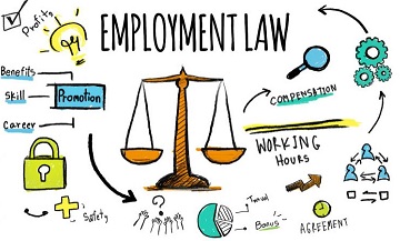 employment law assignment help