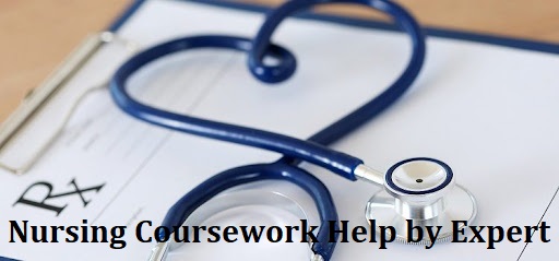 nursing coursework help