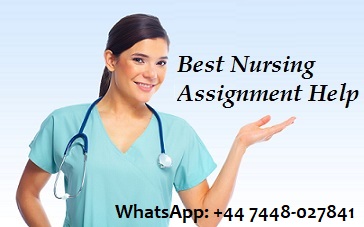 nursing assignment help