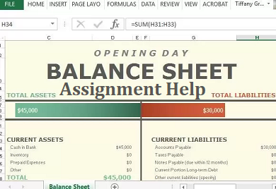 Balance Sheet Assignment Help