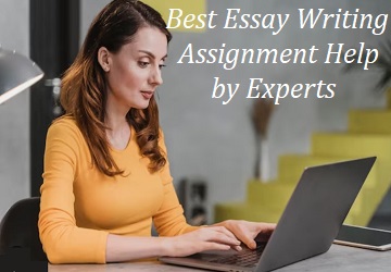 Essay Writing Assignment Help